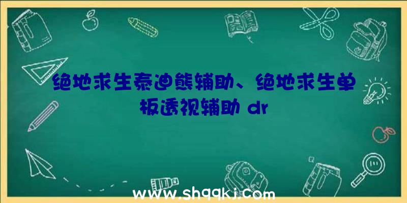 绝地求生泰迪熊辅助、绝地求生单板透视辅助